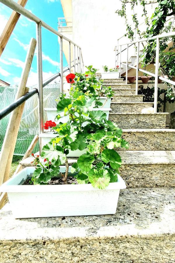 Luckyshine Hostel Vlorë Buitenkant foto